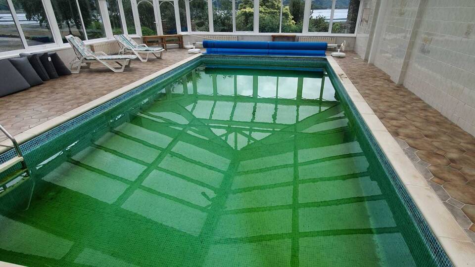 Green Pool Solution
